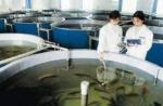 Corrosion Resistance Fiberglass Fish Tank