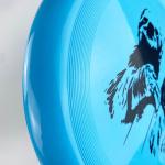 Professional Ultimate Flying Disc Beach Frisbee Discraft 175g Ultimate Disc
