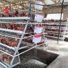 Buy cheap 4 Tiers Layer Chicken Battery Cages Automatic In Uganda Ada from wholesalers