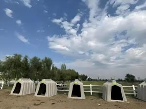 Quality Easy Assembly Cattle Sheds Steel Structure Cow Farming Shed Weather Resistant wholesale