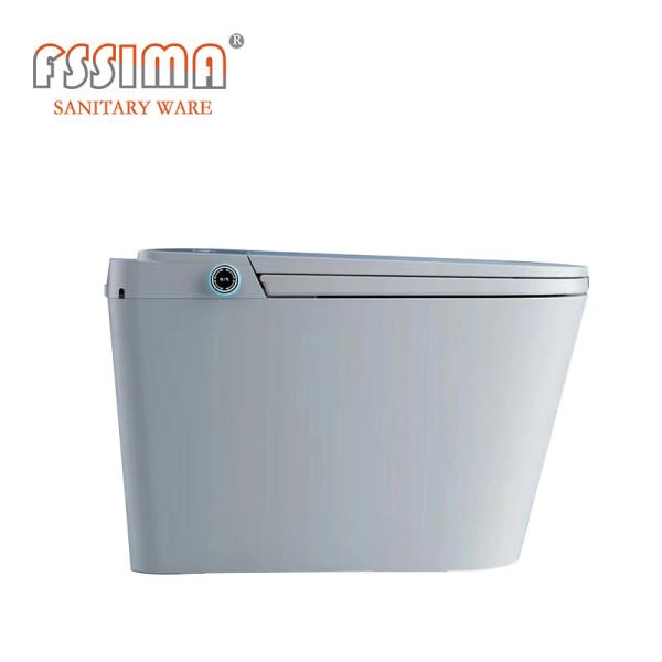 Modern Smart One Piece Toilet That Analyzes Poop Wifi European Style 61kg with