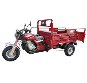 Quality Motorized Lift 3 Wheel 250CC Cargo Tricycle wholesale