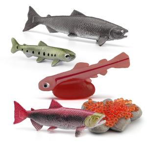 Quality 5 PCS Sea Marine Animal Figures Ocean Creatures Action Figure Models Life Cycle Salmon Fish Figurine for Boys Girls Kids wholesale