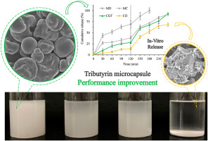 EINECS No. 200-451-5 99% Purity Tributyrin Powder for Chicken Feed Grade