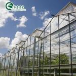 Large Glass Greenhouse Mushroom Aeroponic Tower Garden for Eco Restaurant