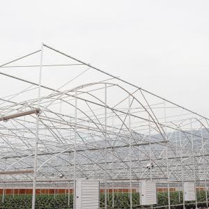 Quality Galvanized Steel Frame PE Plastic Film Greenhouse For Agriculture Low Cost Tunnel wholesale