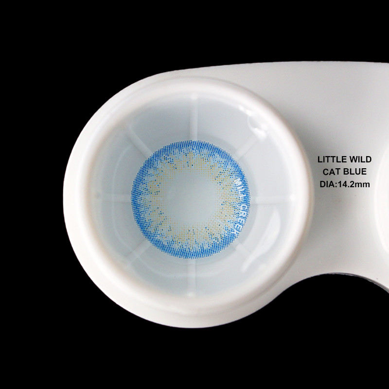 Little Wild Cat Brown Green Amber Contact Lenses Blue Prescription Contacts