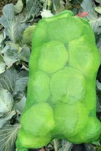 Green PP Mesh Netting Bags For Corn Plastic Drawstring Packing Cabbage