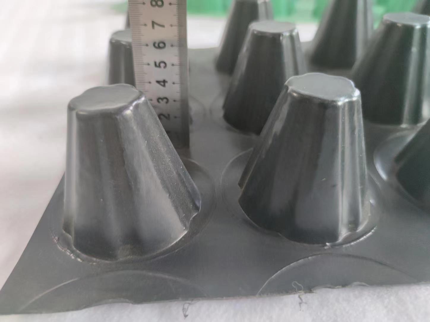 PE 2m Double Side HDPE Greenroof Dimple Mat Drainage Boards for Optimal Water Control