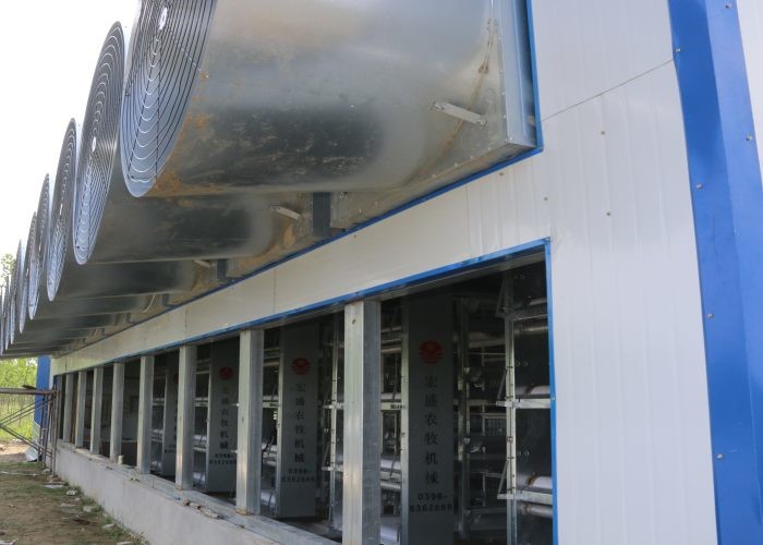 Energy Saving H Type Layer Chicken Cage / Poultry Layer Cage SONCAP Approved