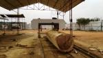 Heavy Duty wood saw mills with diesel engine / Big horizontal bandsaw mills