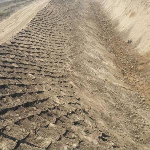 Quality 50mm-300mm Height Ground Stabilization Grid Corrosion Resistant wholesale
