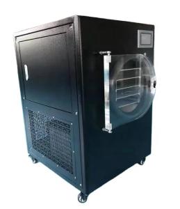 Quality Stainless Steel Pharmaceutical Freeze Dryer Standard Customized wholesale