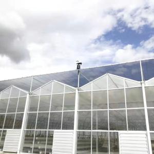 Quality Automatic Weather Monitoring Station wholesale
