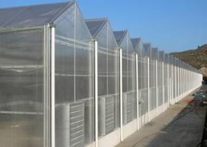 Quality Single Layer Toughened Glass Greenhouse , Insulating Intelligent Greenhouse wholesale