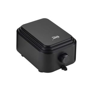 Quality Plastic 255GPH 10W dual Air Pump For Fish Tank wholesale