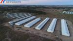Construction Prefab Steel Structure Piggery Farm House / Steel Structure Cow
