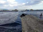 30 Mil PVC Geomembrane Liner Waterproof Membrane Pond Liner For Swimming Pool