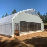 Blackout Mushroom Single-span Tunnel Light Deprivation Greenhouse For Agricultur