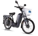 60V Battery Power Adult Electric Bike , Electric Powered Bicycle With Open Rear