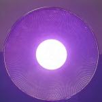 Greenhouse Planting 36W/50W Full Spectrum LED Grow Light with High Luminous