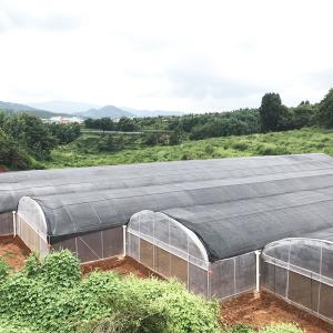 Quality Large Tunnel Plastic Film Single-span Agricultural Nursery Growing Greenhouse wholesale
