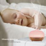 Frosted Glass Aroma Essential Oil Diffuser