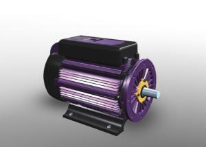 Quality F Thermal Class Small Volume Permanent Magnet Intelligent Motor wholesale