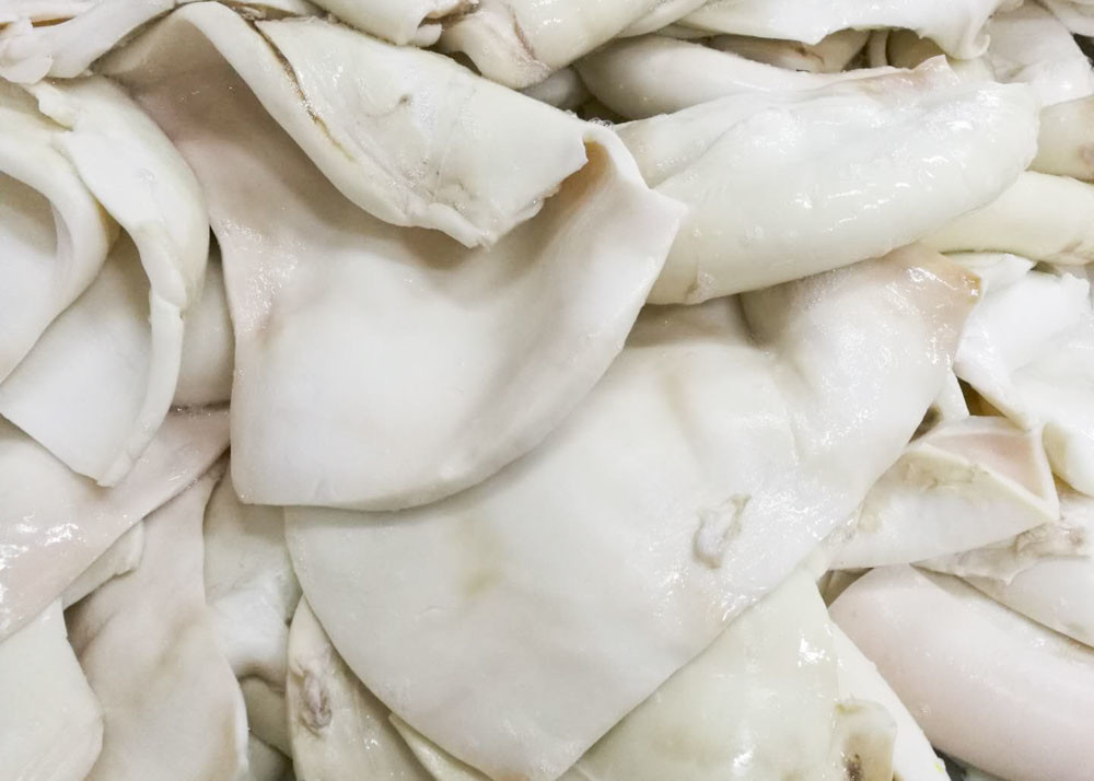 frozen boiled giant squid fillet BQF Darumar origin China thickness 6-12mm frozen squid rings