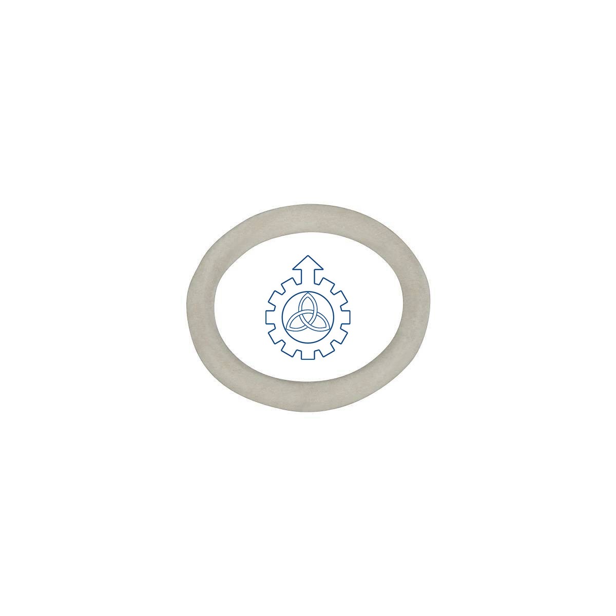 O-ring 93192916