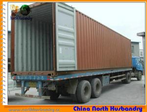 Quality Fan and Pad Greenhouse Evaporative Cooling Systems wholesale