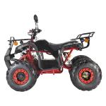 2000W All Terrain Electric Motorcycle 60V 20Ah Battery Single Speed Fat Tire