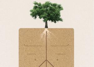 Quality Superior Grip Cork Slip Resistant Yoga Mat , Anti Tear Patterned Yoga Mat wholesale