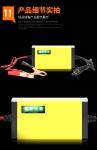 12V 15A 300W Lead Acid Battery Chargers Pulse Repair Temperature Control