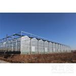 Advanced Hydroponic System for Growing Vegetables in Agricultural Greenhouses