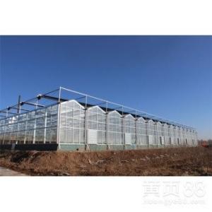 Quality Advanced Hydroponic System for Growing Vegetables in Agricultural Greenhouses wholesale