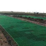 Road HDPE Black Green Gray Diamond Grid Gravel Grid System for Parking Lot and
