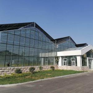 Quality 10x8 20 X 40 Big Span Venlo Multi Span Glass Greenhouse Growing Vegetable Show For Exhibition Hall wholesale