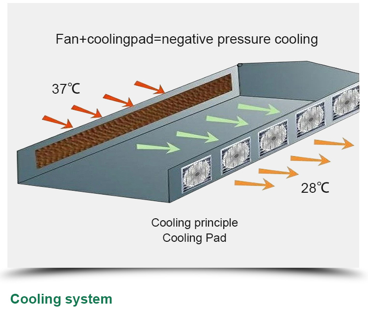 Instruction for Agricultural Glass Hydroponics System Commercial Greenhouses Frame