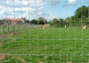 Quality Hot Dipped Galvanized Woven Wire Fence With Square Deal Knot Weather resistant wholesale