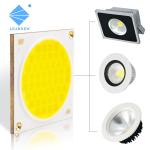 500W 600W 700W 800W 900W 1000W Flip Chip COB 55x55MM Bicolor Single Color