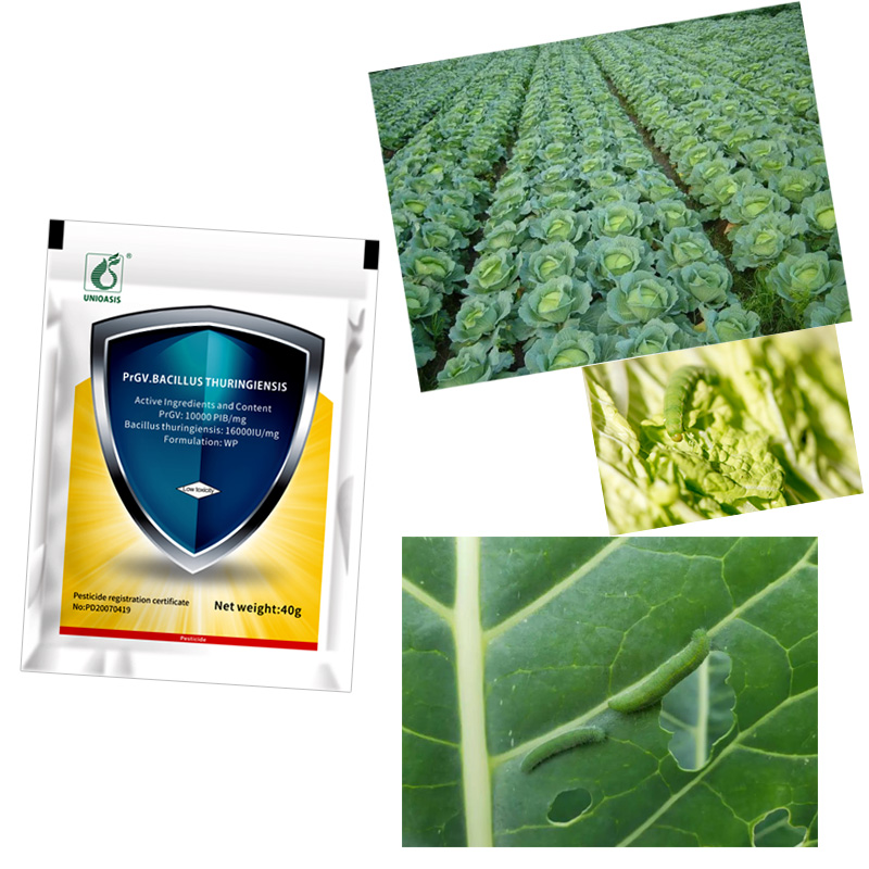 100% Natural Organic Biological Insecticides PrGV and Bt Ecological Farm Pesticide Powder Formulation