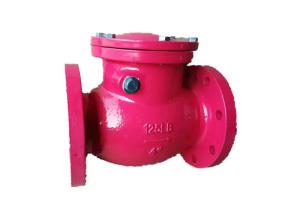 Electric Cast Iron Swing Check Valve 4 Inches With Bronze Disc Trim