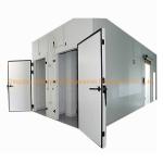 Cold Storage Chiller/Cooler/Freezer Room for Medicine and Produce -10-0C