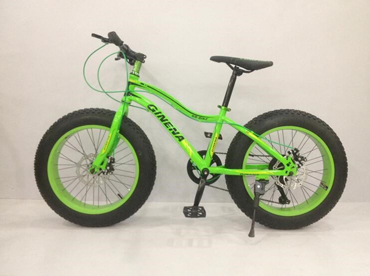 OEM 21 Speed 20 Inch Fat Tire Electric Bike