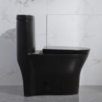 1pc American Standard One Piece Dual Flush Toilet Syphon Flush Valve