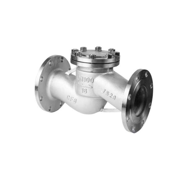 Professional Manufacture DN100 Pn16 Lifting Check Valve with Stainless Steel