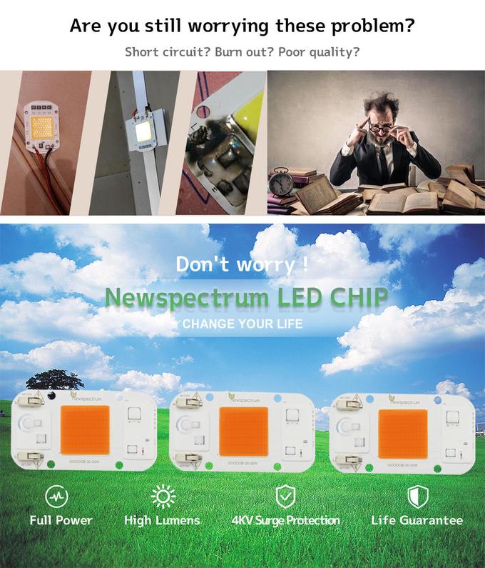 110v 50w AC LED Module COB Chip No Welding Lamp Bead Full Spectrum 380nm-840nm