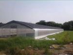 Single Span Plastic Film Agricultural Greenhouses For Madical Plants