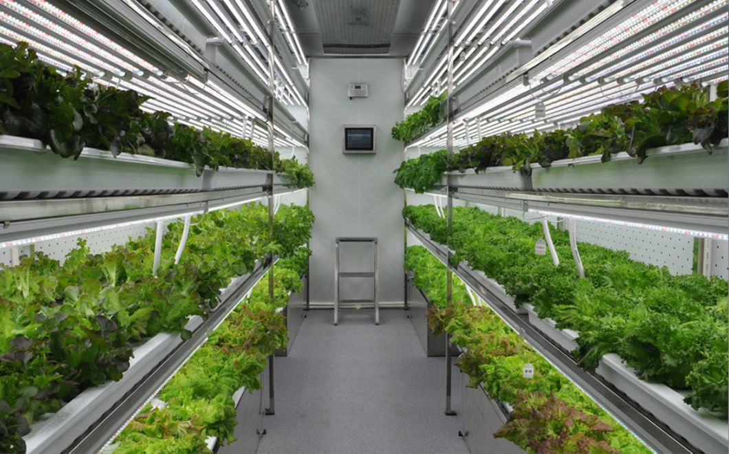 Smart and High Quantity Hydroponic System Container Farm for Sale